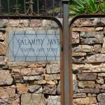 OTRA2013_1586 (July 17, 2013)